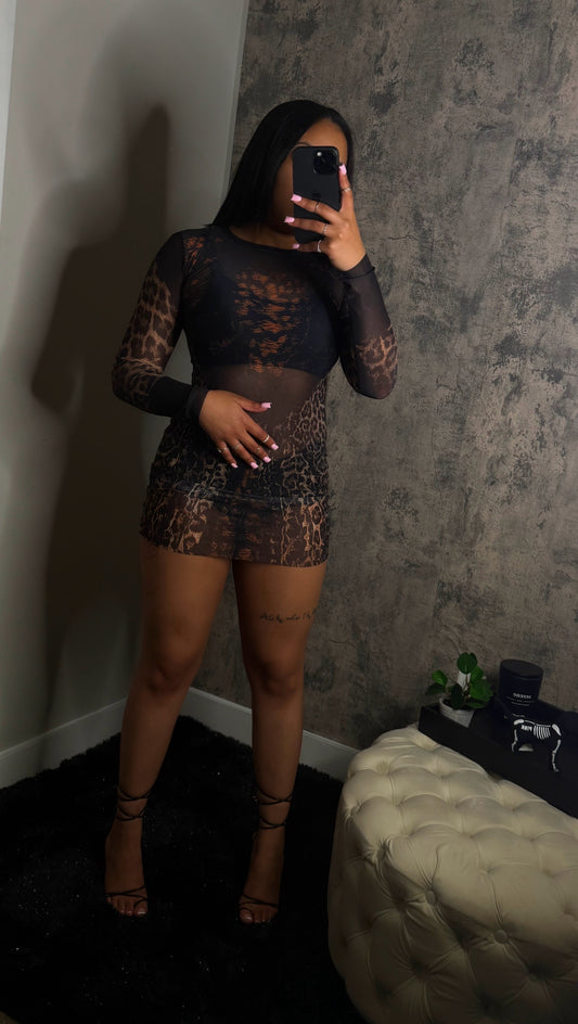 Safari Mesh